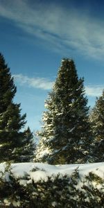 Cielo,Nieve,Comió,Ato,Naturaleza