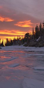 Nature,Sky,Snow,Trees,Sunset