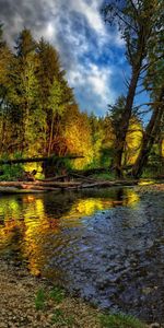 Nature,Sky,Summer,Shore,Bank,Logs,Rocky,Stony,Rivers,Trees,Pebble,Forest