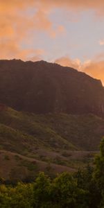 Nature,Sky,Trees,Mountains,Dawn