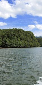 Nature,Sky,Wood,Tree,Sea