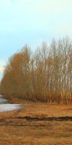 Nature,Snow,Field,Arable Land,Sativa,Ploughing,Plowing,Sowing,Thawed,Melted,Spring