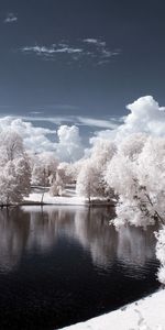 Neige,Nature,Paysage