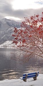 Naturaleza,Nieve,Paisaje