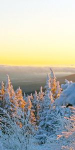 Nature,Neige,Paysage