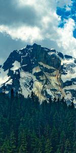 Naturaleza,Árboles,Nieve,Montaña,Paisaje,Bosque