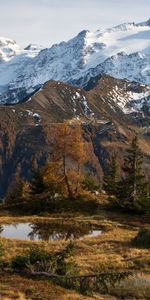 Montagne,Nature,Neige,Flaque,Arbres,Paysage