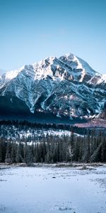 Naturaleza,Montañas,Nieve,Bosque,Cubierto De Nieve,Nevado,Vértice,Tops