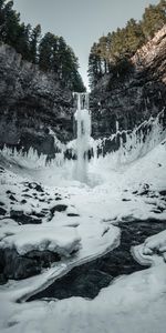 Nature,Snow,Waterfall,Break,Precipice,Trees,Ice