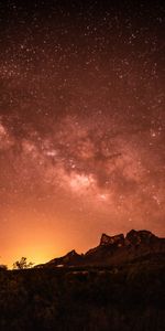 Nature,Stars,Bush,Rocks,Starry Sky