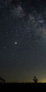 Nature,Stars,Horizon,Starry Sky,Trees,Night