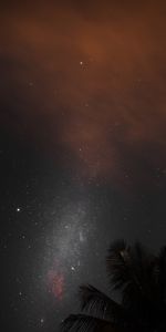 Nature,Etoiles,Paume,Nébuleuse,Ciel Étoilé,Nuit