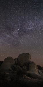 Nature,Stars,Starry Sky,Stones,Night