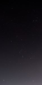 Etoiles,Bois,Sky,Nuit,Arbre,Nature