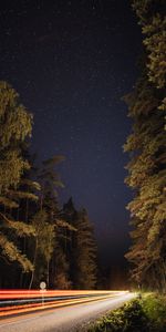 Nature,Stars,Trees,Night,Road,Lines,Glow