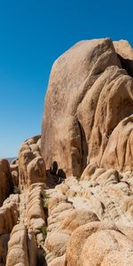 Nature,Stones,Bush,Rocks,Relief,Stone