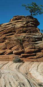 Nature,Stones,Bush,Vegetation,Stripes,Streaks,Trees,Lines,Canyons