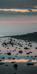 Nature,Stones,Coast,Fog,Silhouettes