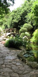 Nature,Stones,Greens,Bridge,Pond,Track,Water Lilies,Garden