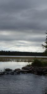 Nature,Stones,Horizon,Lake,Wood,Tree,Fir,Spruce