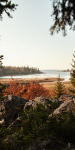 Nature,Stones,Lake,Forest,Landscape,Trees