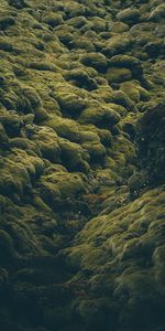 Nature,Stones,Moss,Covered,Coated,Pale,Iceland