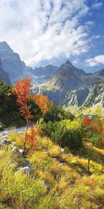 Nature,Stones,Mountains,Road,Vegetation,Autumn