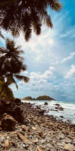 Nature,Stones,Mountains,Sea,Coast,Palm