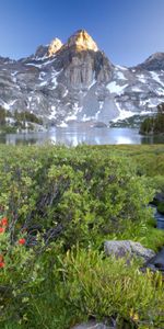 Nature,Stones,Mountains,Vertex,Top,Lake,Shine,Light,Shrubs,Creek,Brook,Flowers