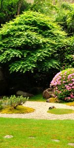 Naturaleza,Stones,Registro,Tipografía,Césped,Jardín