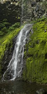 Nature,Stones,Rock,Moss,Water,Waterfall