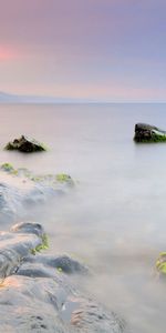 Nature,Stones,Rocks,Fog,Smooth,Moss,Surface,Shroud,Wet,Silence