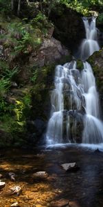 Nature,Roches,Noyaux,Les Rochers,Branches,Ruisseau,Cascade,Couler