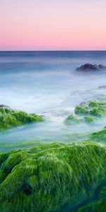 Nature,Stones,Sea,Cool,Moss,Haze,Steam,Coolness,Evaporation,Growths