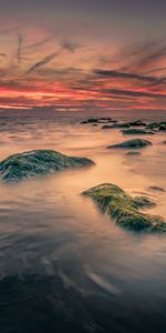 Nature,Stones,Sea,Moss