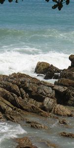 Naturaleza,Stones,Ondas,Las Rocas,Rocas,Orilla,Banco,Sucursales,Escabroso,Cortar,Mar,Rama