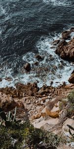 Naturaleza,Stones,Las Rocas,Rocas,Navegar,Surfear,Mar,Cactus