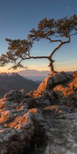 Naturaleza,Cielo,Las Rocas,Rocas,Madera,Árbol,Acantilado,Stones