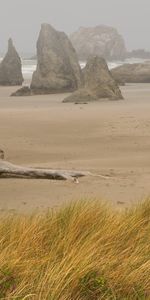 Nature,Stones,Stump,Storm,Sand,Beach