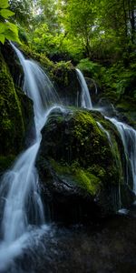 Nature,Stones,Waterfall,Branches,Flow,Stream,Plants