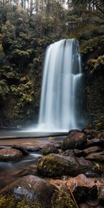 Nature,Stones,Waterfall,Break,Precipice,Plants