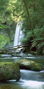 Nature,Stones,Waterfall,Greens,Australia,Fern