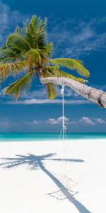 Nature,Summer,Palm,Tropics,Sea,Beach