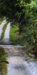 Route,Rayures,Stries,Plutôt Nuageux,Couvert,Pays,Nature,Végétation,Campagne,Été