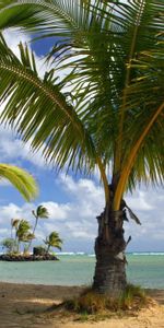 Arena,Naturaleza,Verano,Mar,Playa