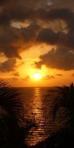 Réflexion,Sun,Nuages,Crépuscule,Nature,Feuilles,Coucher De Soleil,Mer