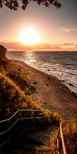 Nature,Sun,Coast,Branches,Ladder,Trees,Stairs