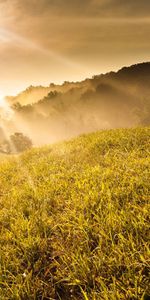 Sol,Brillar,Vigas,Pendiente,Cuesta,Prado,Paisaje,Luz,Rayos,Naturaleza