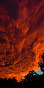 Nature,Sunset,Clouds,Porous,Dark