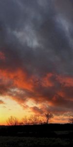 Nature,Sunset,Clouds,Tree,Outlines,Heavy,Sky,Wood